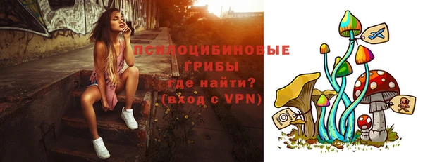ALPHA PVP Краснослободск